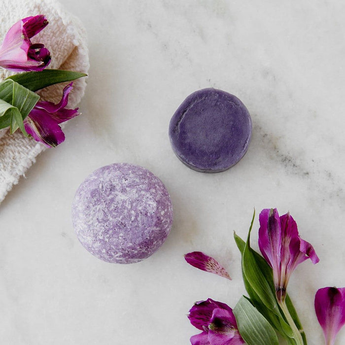 Rainforest Shampoo and Conditioner Bar Set