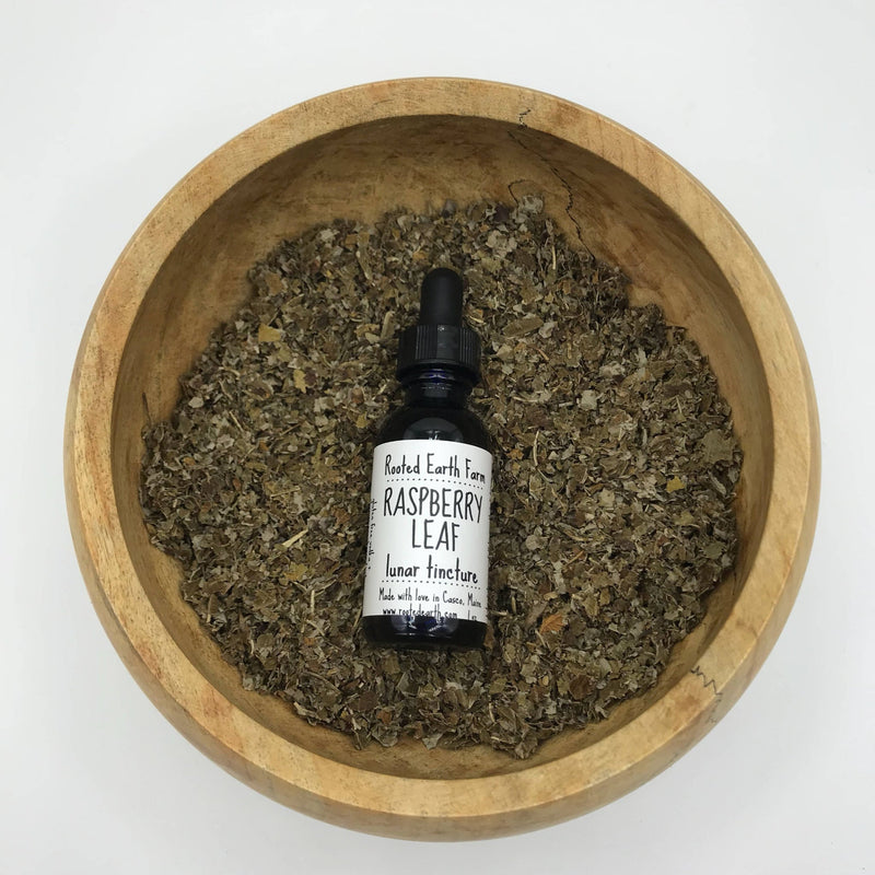 Rooted Earth Farm + Apothecary Red Raspberry Leaf Tincture Tinctures + Capsules