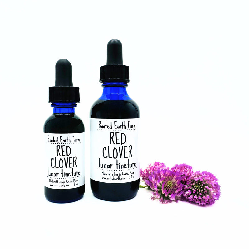 Rooted Earth Farm + Apothecary Red Clover Tincture Tinctures + Capsules