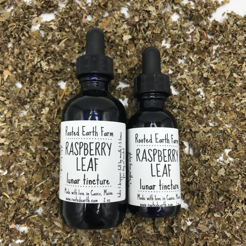 Rooted Earth Farm + Apothecary Red Raspberry Leaf Tincture Tinctures + Capsules