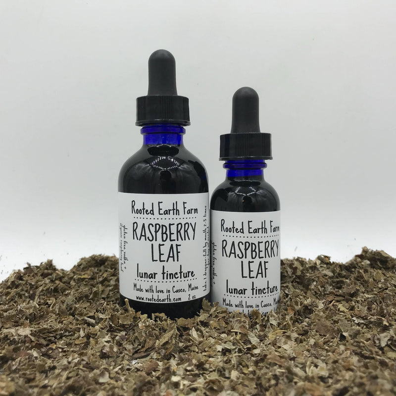 Rooted Earth Farm + Apothecary Red Raspberry Leaf Tincture Tinctures + Capsules