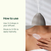 Plant Therapy Respir Aid Essential Oil Blend Essential Oil