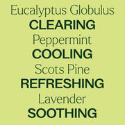 Plant Therapy Respir Aid Essential Oil Blend Essential Oil