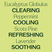 Plant Therapy Respir Aid Essential Oil Blend Pre-Diluted Roll-On Essential Oil