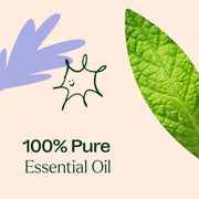 Plant Therapy Respir Aid Essential Oil Blend Essential Oil