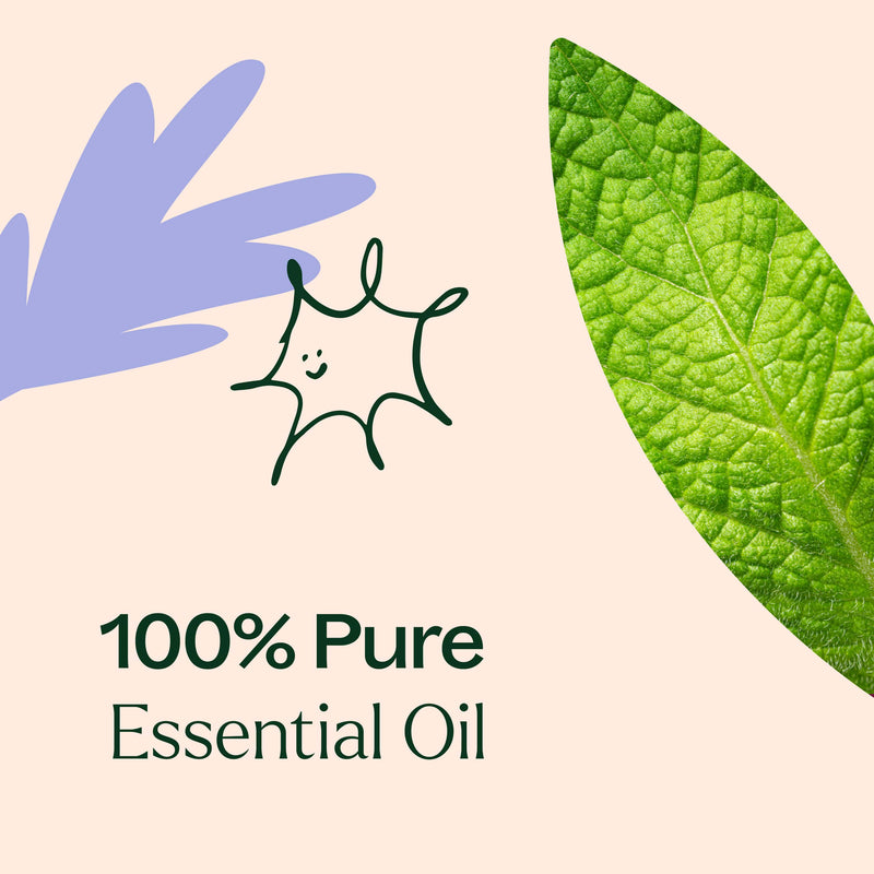 Plant Therapy Respir Aid Essential Oil Blend Essential Oil