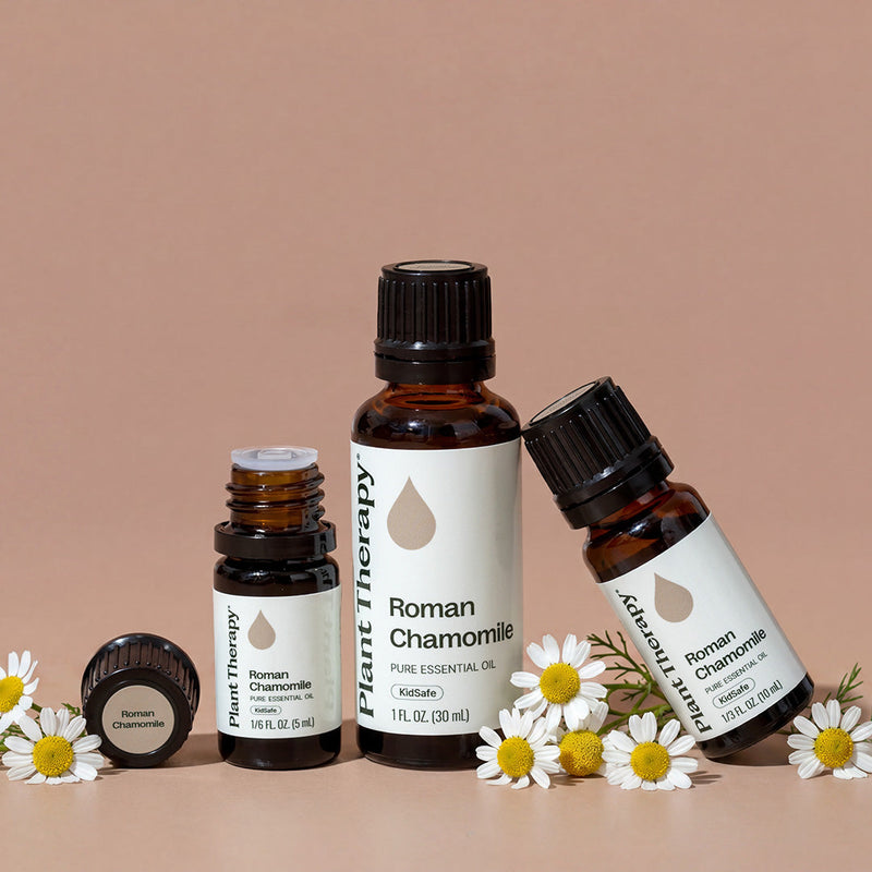 Plant Therapy Roman Chamomile Essential Oil Essential Oil Rosy Brown 5 mL,10 mL,30 mL