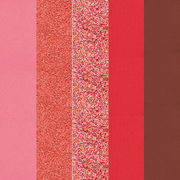 Profusion Cosmetics Blooming Hues 5 shade palette Eye