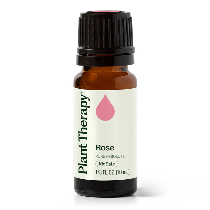 Plant Therapy Rose Pure Absolute Essential Oil White Smoke 5 mL,10 mL