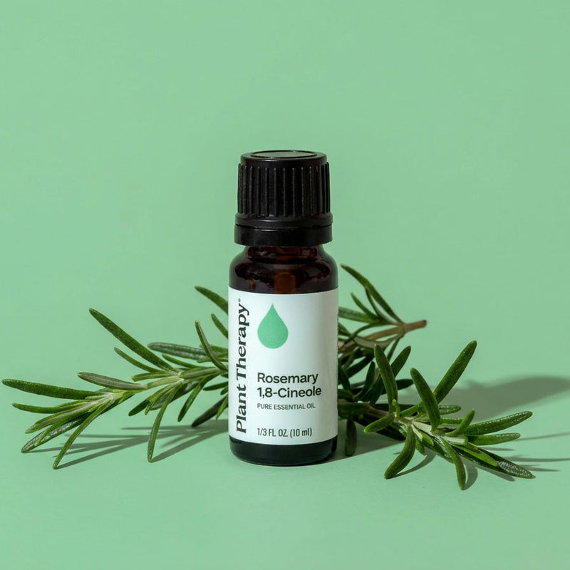 Plant Therapy Rosemary 1,8-Cineole Essential Oil Essential Oil