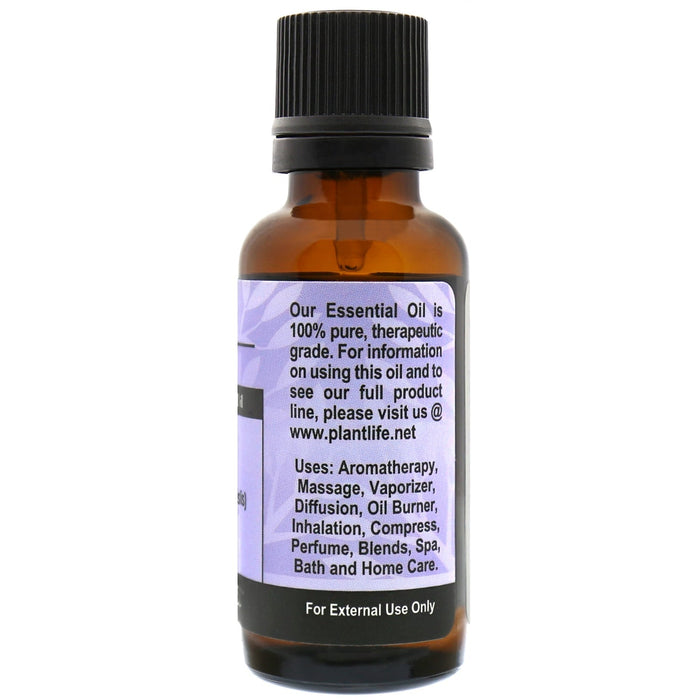 Rosemary Essential Oil