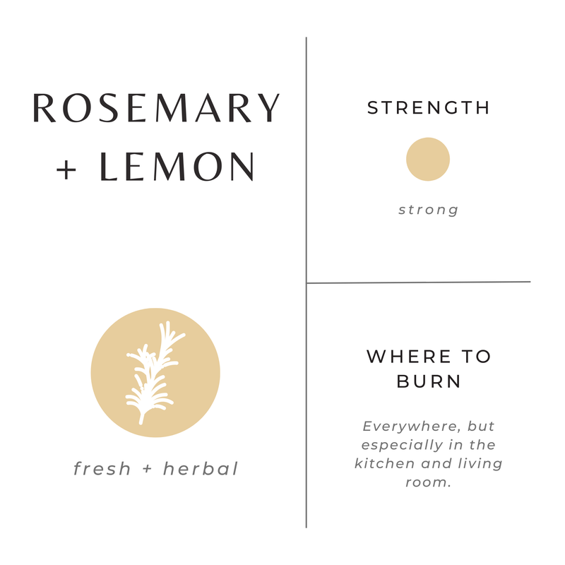 Slow North Rosemary + Lemon - Signature Candle Frosted Candles
