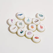 Shore Soap Co. Scent Sample Pack Solid Fragrance