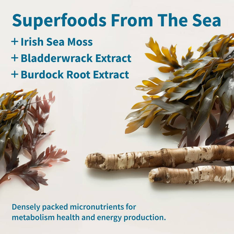 Snap Supplements Irish Sea Moss with Iodine Energy Support - Buy 3, Get 2 FREE! hidden