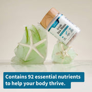 Snap Supplements Irish Sea Moss with Iodine Energy Support - Buy 3, Get 2 FREE! hidden