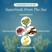 Snap Supplements Irish Sea Moss with Iodine Energy Support