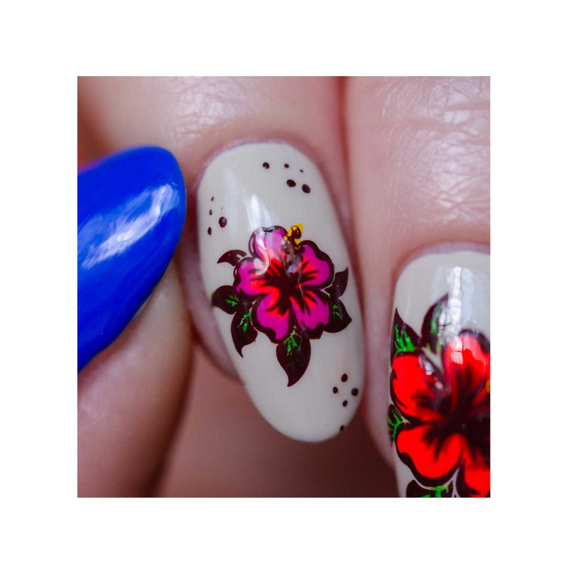 UberChic Beauty Seashells & Sunshine Stamping Plate