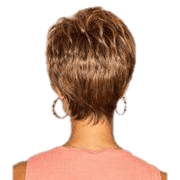 VIP Extensions Serving Style by Gabor Gabor Wigs