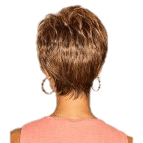 VIP Extensions Serving Style by Gabor Gabor Wigs