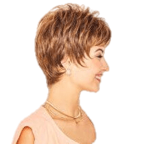 VIP Extensions Serving Style by Gabor Gabor Wigs
