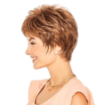 VIP Extensions Serving Style by Gabor Gabor Wigs