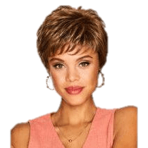 VIP Extensions Serving Style by Gabor Gabor Wigs
