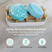 ZeroWasteStore.com Shampoo & Conditioner Bar Duo Shampoo & Conditioner Sets