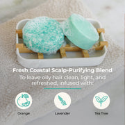 ZeroWasteStore.com Shampoo & Conditioner Bar Duo Shampoo & Conditioner Sets