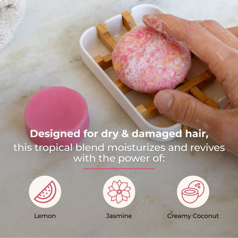ZeroWasteStore.com Shampoo & Conditioner Bar Duo Shampoo & Conditioner Sets