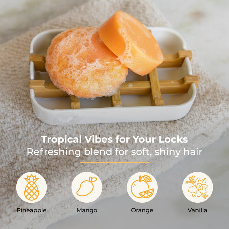 ZeroWasteStore.com Shampoo & Conditioner Bar Duo Shampoo & Conditioner Sets