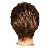 VIP Extensions Shape Up by Gabor Gabor Wigs