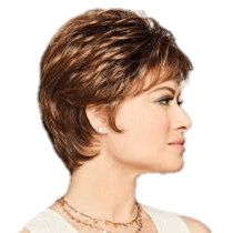 VIP Extensions Shape Up by Gabor Gabor Wigs