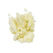 Sun Potion Shea Butter (Wildcrafted) Adaptogen