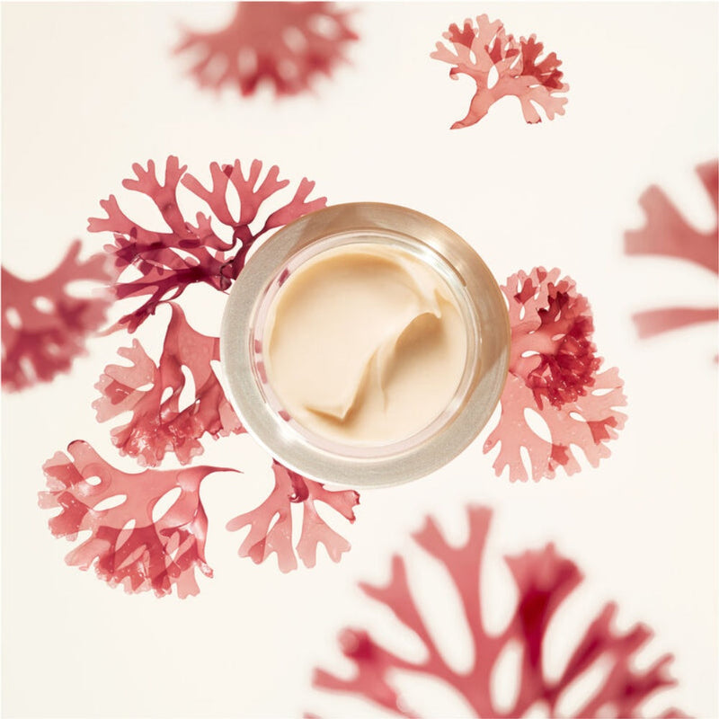 Nava Beauty Shiseido Benefiance Wrinkle Smoothing Cream Enriched Facial Care Seashell 20 mL,50 mL,75 mL
