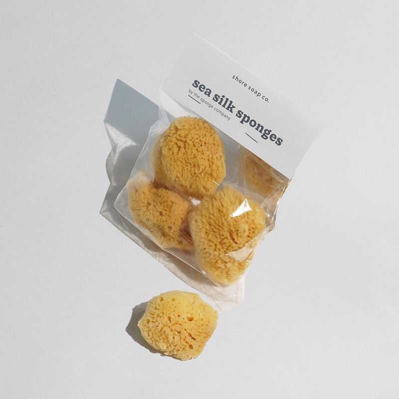Shore Soap Co. Sea Silk Sponges - Pack of 3 Accessories