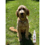 Warren London K9 Silk & Shine - Revitalize and Shines the Coat Spa Product