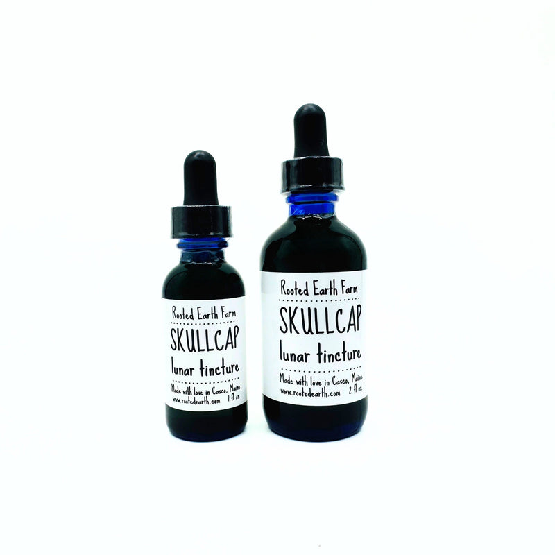 Rooted Earth Farm + Apothecary Skullcap Tincture Tinctures + Capsules