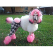 Warren London Critter Color - Temporary Pet Fur Coloring/Dog Dye Spa Product