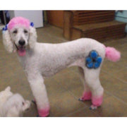 Warren London Critter Color - Temporary Pet Fur Coloring/Dog Dye Spa Product