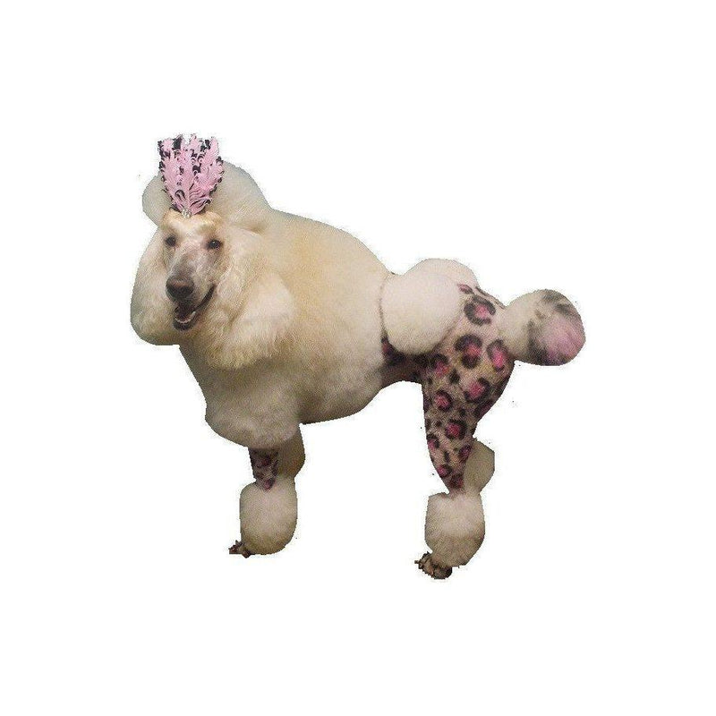 Warren London Critter Color - Temporary Pet Fur Coloring/Dog Dye Spa Product
