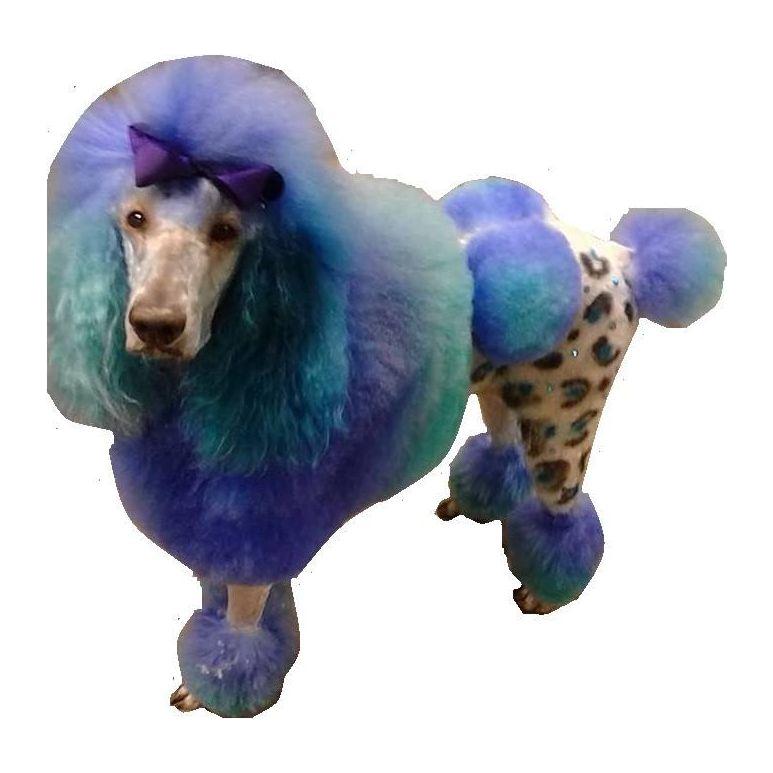 Warren London Critter Color - Temporary Pet Fur Coloring/Dog Dye Spa Product