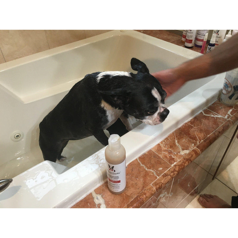 Warren London Exfoliating Butter Wash Dog Shampoo Gallons - With Natural Jojoba Beads Spa Product