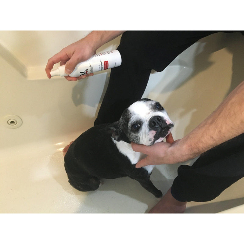 Warren London Hot Spot Soothing Spray - Anti Itch Spray That Soothes And Cools Spa Product