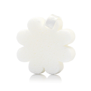 Spongellé Beach Grass | Boxed Flower Body Wash Infused Buffer