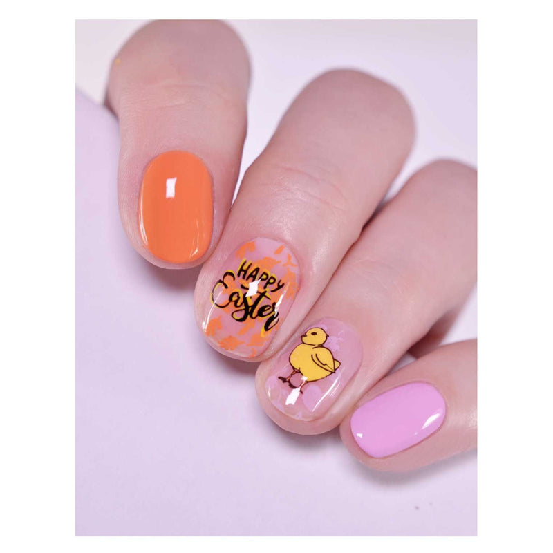UberChic Beauty Springtime In The Country Stamping Plate