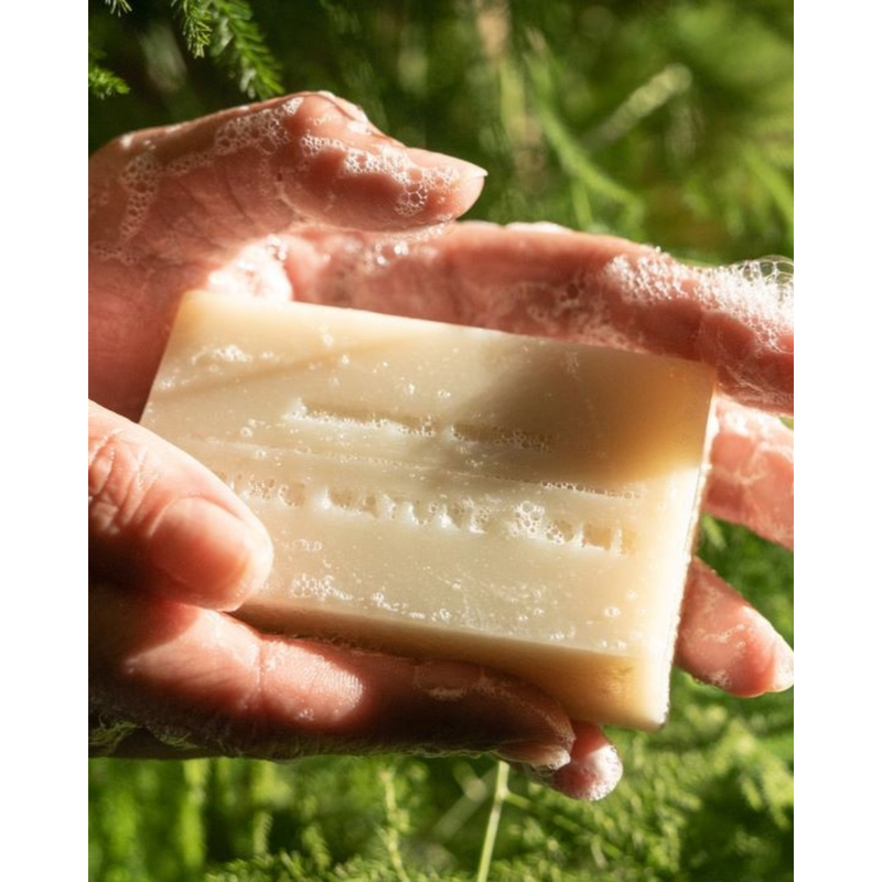 Juniper Ridge Cascade Forest Bar Soap 3-Pack Bar Soap