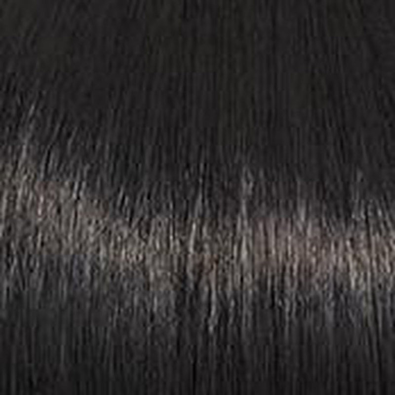 VIP Extensions STAR QUALITY - Wig by Raquel Welch RW lace front wig