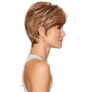 VIP Extensions Strength by Gabor Gabor Wigs