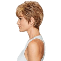 VIP Extensions Strength by Gabor Gabor Wigs