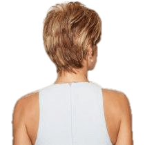 VIP Extensions Strength by Gabor Gabor Wigs